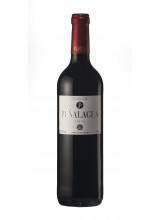 Peñalagua tinto 2020