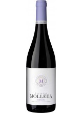 Hacienda Molleda Tinto